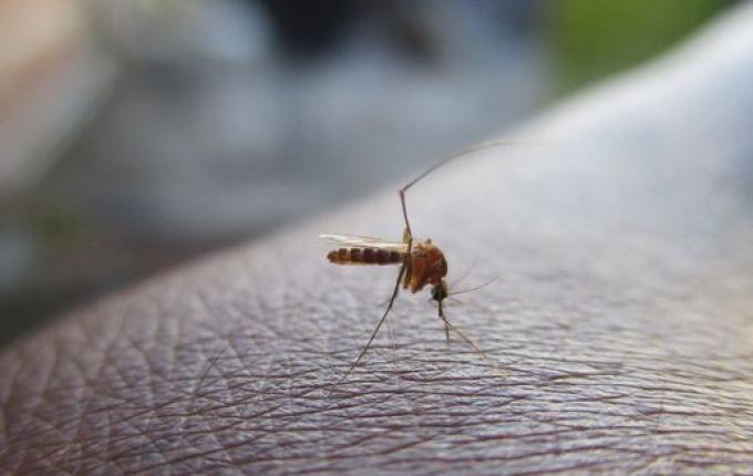 Itapiranga ultrapassa mil casos de dengue neste ano