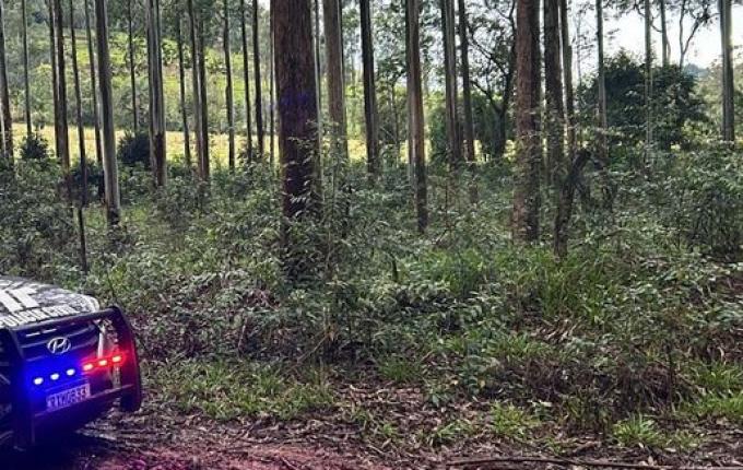 Homem é preso por posse ilegal de arma de fogo em Riqueza