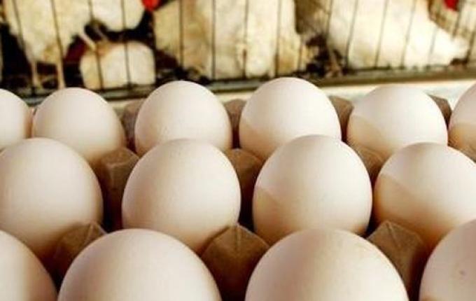 Ladrão de motosserra, 180 ovos e pote de sorvete é preso em SC