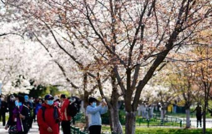 Número de pessoas curadas do coronavírus passa de 200 mil