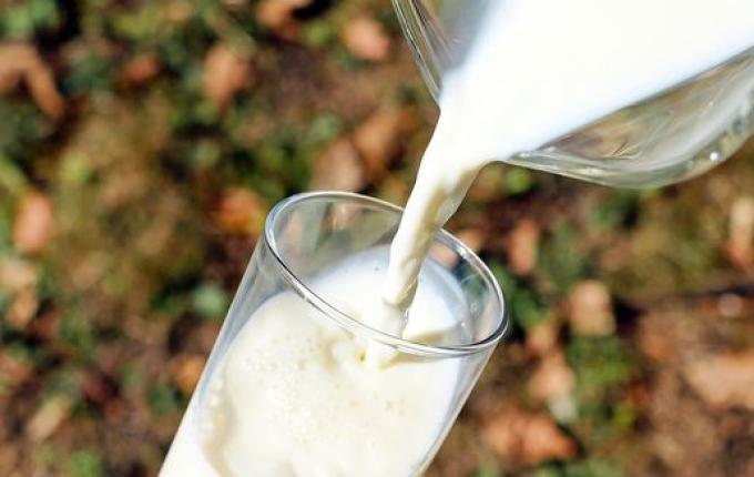 Apresentada proposta para reinserir leite na cesta básica catarinense