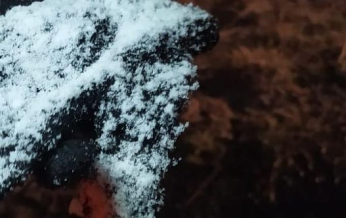 NEVE EM SC: Serra tem o primeiro registro do fenômeno em 2020