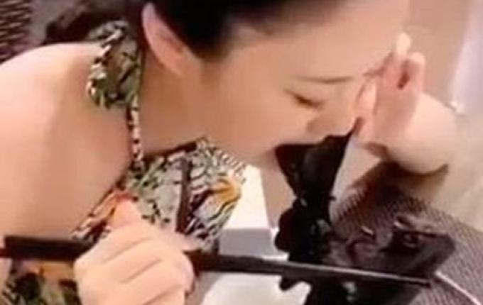 Estudo aponta que mutação em morcego fez vírus passar a humanos