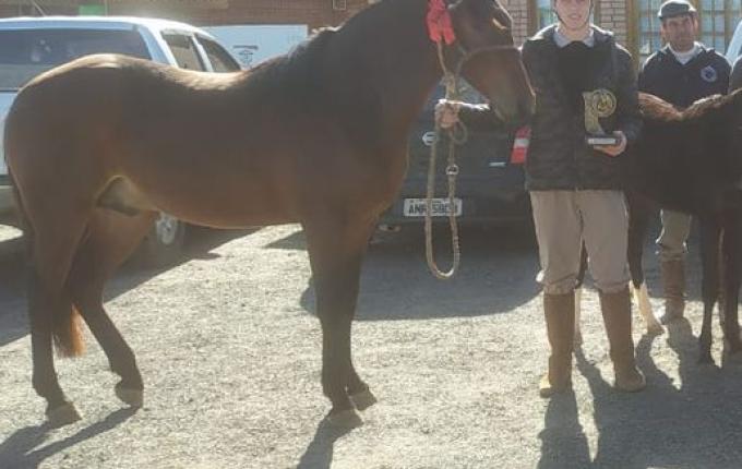 Grupo da região participa da Exposição Nacional do Cavalo Campeiro