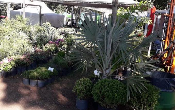 Itaipu Rural Show começa com muitas novidades