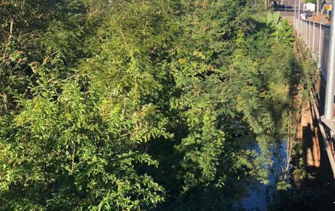 Polícia realiza buscas ao preso que fugiu após operação