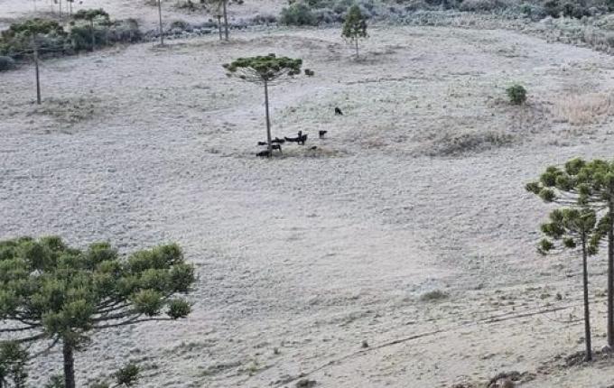 Defesa Civil emite alerta para nova onda de frio com mínima de -4°C e geada em SC