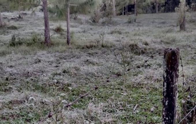 São Miguel do Oeste chega a 0 Cº e registra geada ampla