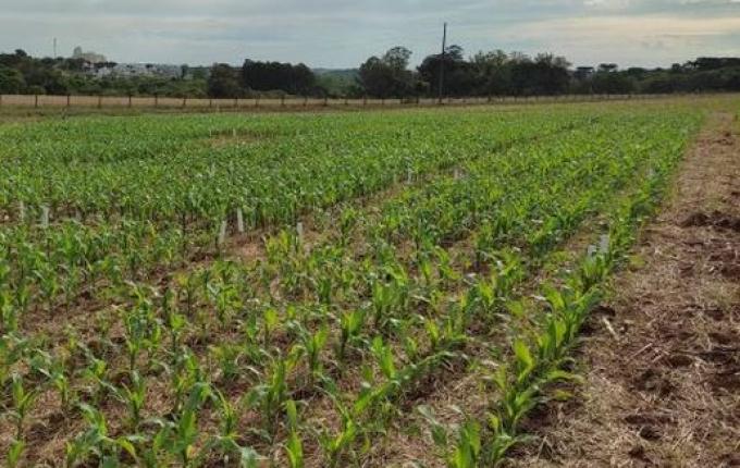 Epagri intensifica ações para recuperação de áreas agrícolas no Estado