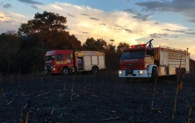 Lavoura de milho pega fogo após ceifa encostar em rede de alta tensão