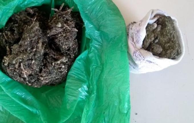 Polícia Militar aperta o cerco ao tráfico de drogas em São Miguel do Oeste