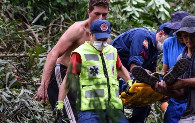 VÍDEO: Homem atingido por árvore está na UTI do Hospital Regional