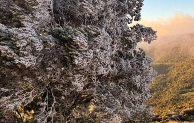 Com recorde de frio, cidade mais fria do Brasil “congela” e registra sensação térmica de -29°C