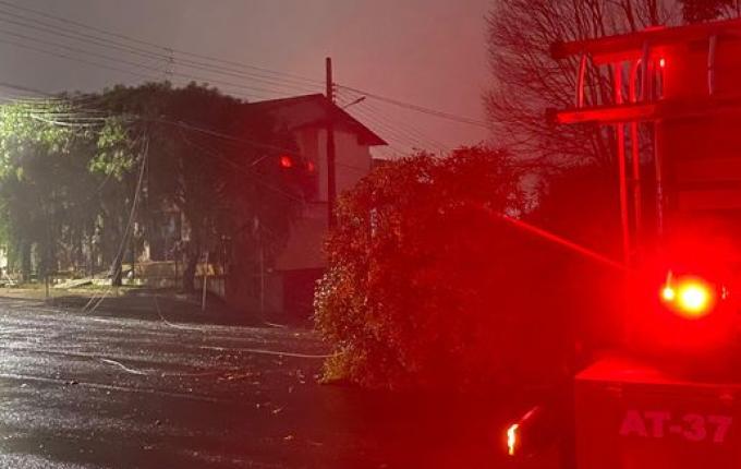 Temporal causa destelhamentos e derruba árvores em São Miguel do Oeste