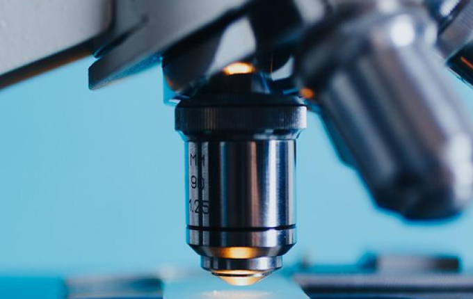 Antiviral tecovirimat será avaliado pela Anvisa para tratar varíola dos macacos