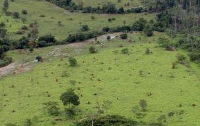 Prazo para declaração do ITR e CCIR termina na próxima semana