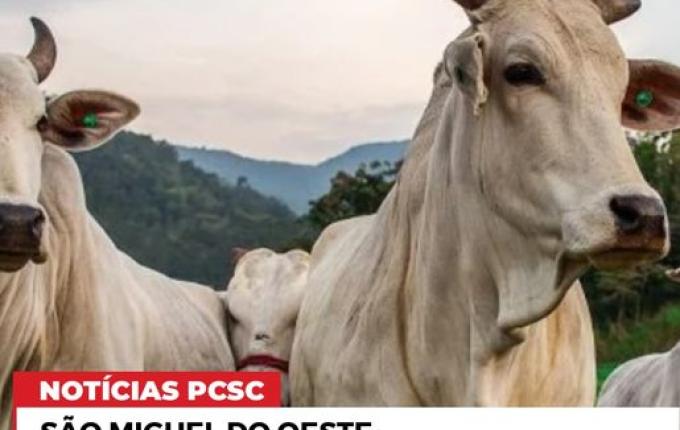 Homem procurado por furto de gado em Rondônia é preso em SMO