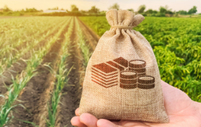 Programa Crédito Rural passa a disponibilizar até R$ 280 mil