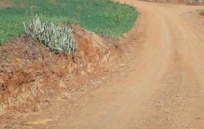 Condições climáticas permitem recuperação de estradas rurais em Cedro