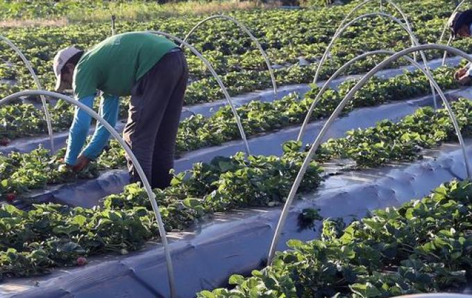 Ministérios assinam acordo para impulsionar agricultura familiar