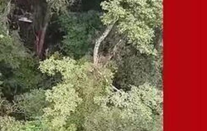 FAB investiga queda de avião que causou mortes de ex-diretor da Odebrecht e piloto