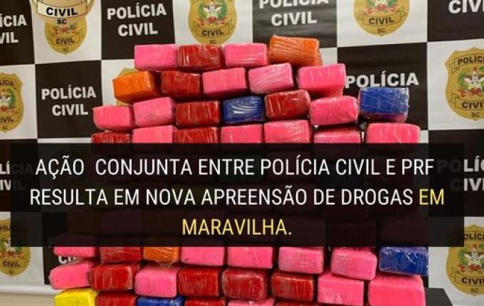 Ação conjunta encontra mais de 30kg de maconha em carro apreendido
