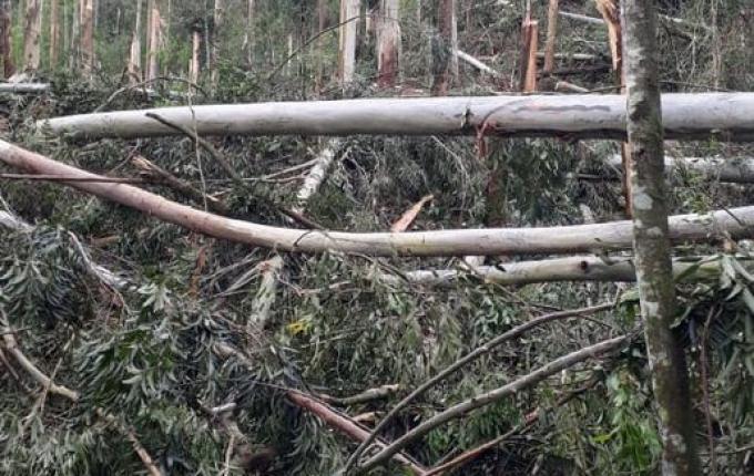 Temporal causa danos e atinge cerca de 15 propriedades em Barra Bonita