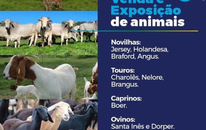 13ª Expo Anchieta deve atrair mais de 12 mil visitantes