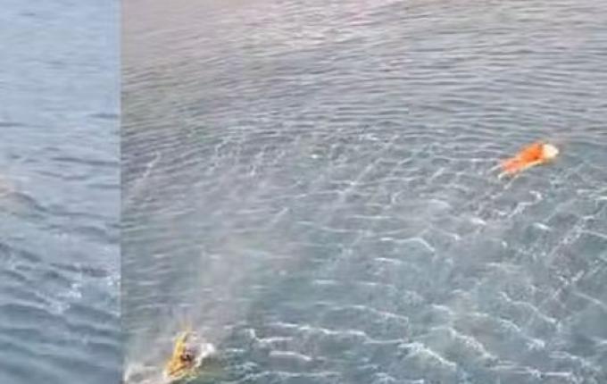 Pescador resgatado agarrado a porta de geladeira passou 17 horas à deriva em SC