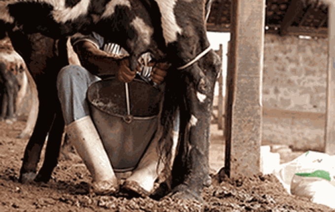 Fetaesc inicia 2026 preocupada com os impactos da crise do leite em SC