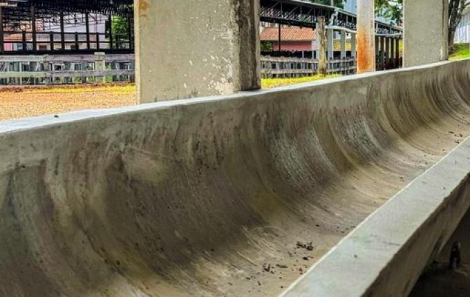 Secretaria de Agricultura prepara pavilhões para os animais da Mercoleite