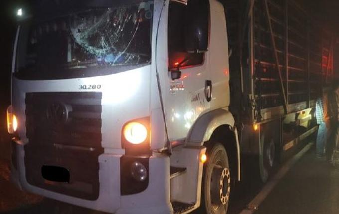 Queda de árvore atinge caminhão e interrompe trânsito na SC 163 em Itapiranga