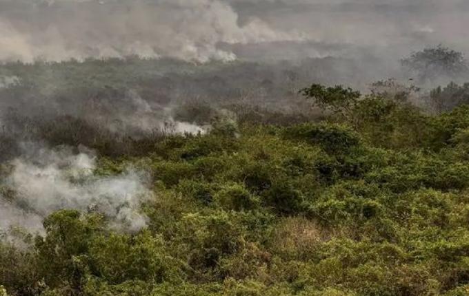 Pantanal poderá ter crise hídrica histórica em 2024, aponta estudo