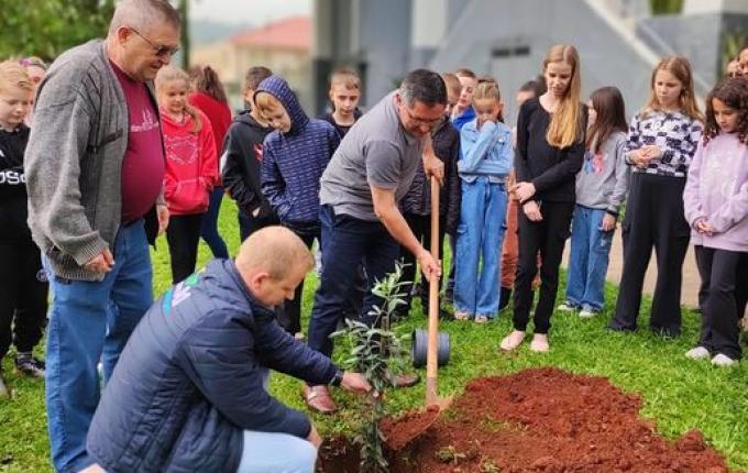 Igreja Católica desenvolve campanha para plantio de árvores