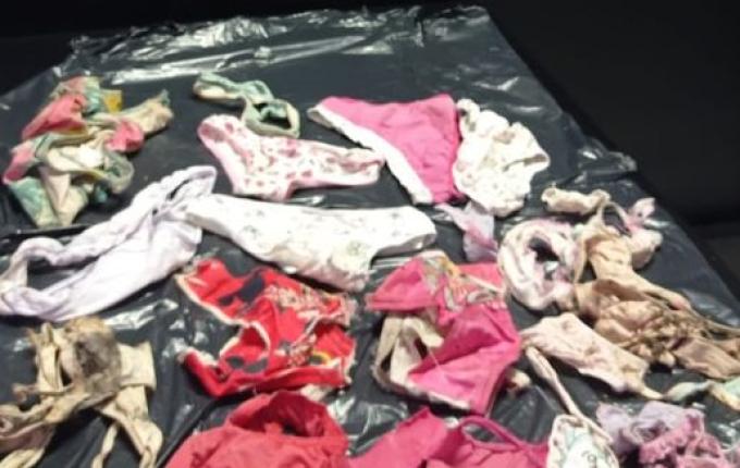 PC encontra calcinhas furtadas ao investigar zoofilia na região