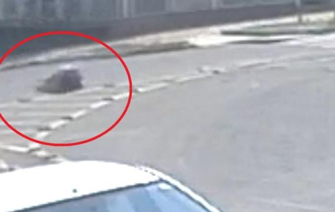 VÍDEO: Câmera registra atropelamento de mulher em São Miguel do Oeste