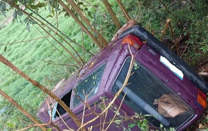 Motorista fica ferida ao sair da pista e colidir em árvore