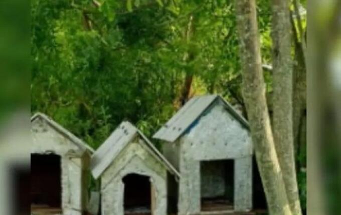 MP vai pedir novas diligências para conclusão sobre coação e ameaça no caso Orelha