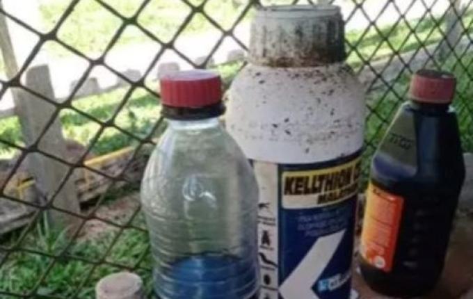 Irmãos morrem após beberem veneno pensando ser suco de uva