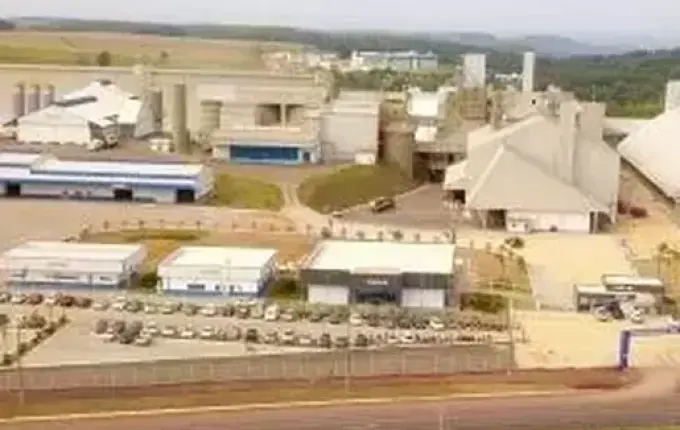 Cooperativas de SC faturam R$ 82,83 bilhões e planejam investir R$ 4 bilhões