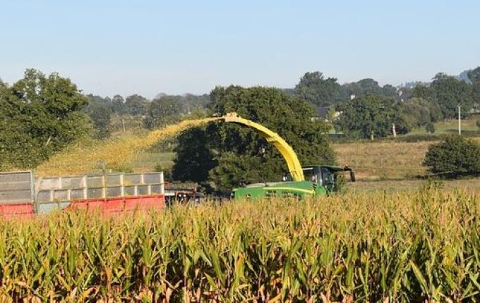 Secretaria de Agricultura intensifica serviços para confecção de silagem