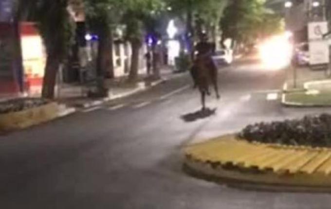 Jovem é filmado em ‘delivery com égua’ em SC e vídeo viraliza