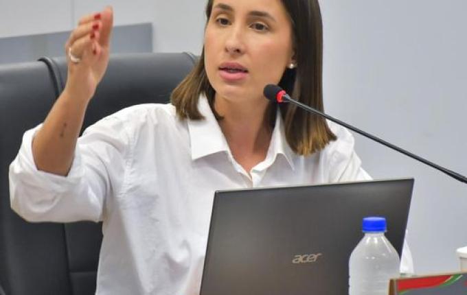 Câmara de São Miguel do Oeste aprova projeto para promover saúde mental materna