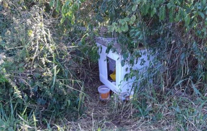 Policial militar e voluntários deixam casinha e comida para cães abandonados na BR-282