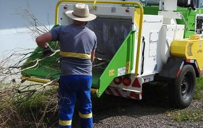 Nova fase da recolha de galhos inicia na próxima semana em SMOeste