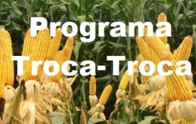 Programa Troca-Troca de sementes de milho já está disponível para os agricultores