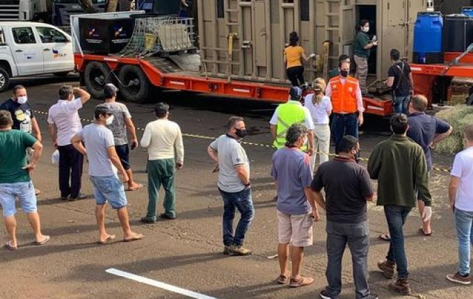 Para passagem de elefanta, fronteira entre Brasil e Argentina é reaberta