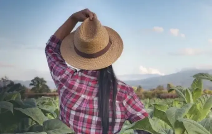 Sindicalista alerta para êxodo rural de jovens trabalhadoras no Extremo Oeste