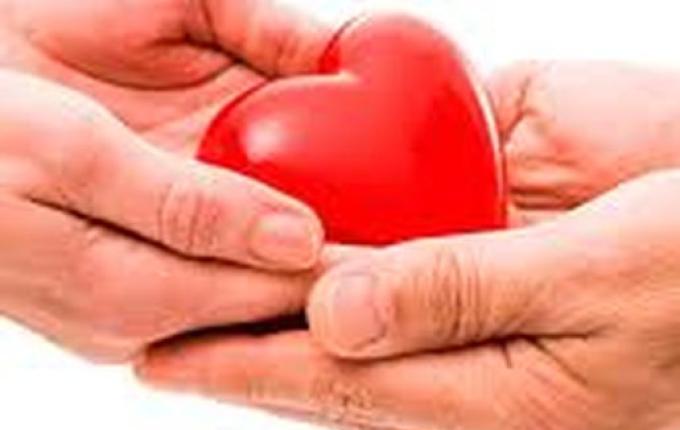 Hospital Regional realiza 4ª captação de órgãos de 2022