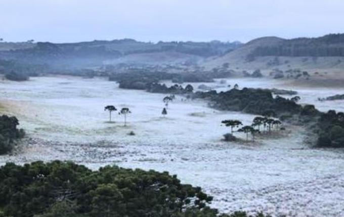 Serra catarinense volta a amanhecer com temperaturas abaixo de zero e paisagens cobertas de gelo